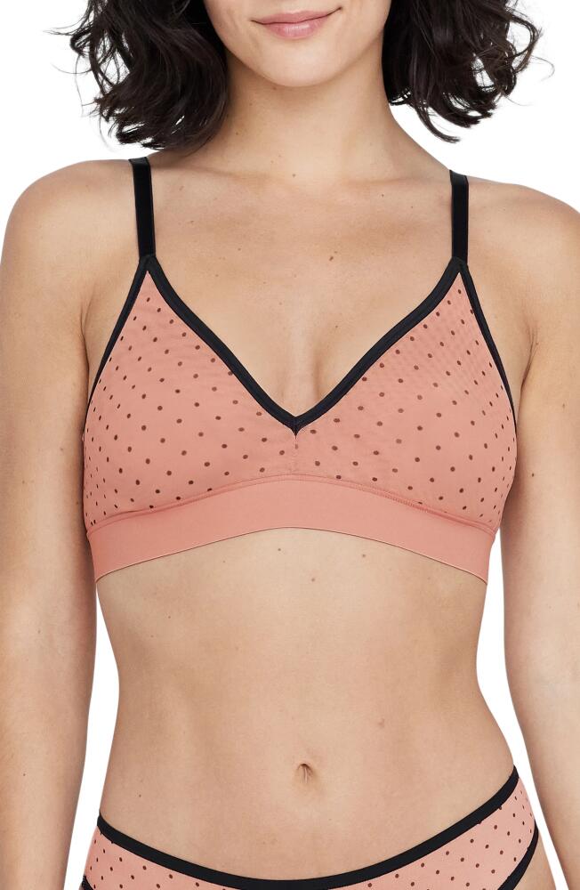 Skarlett Blue Spellbound Mesh Bralette in Rose/Dot Cover