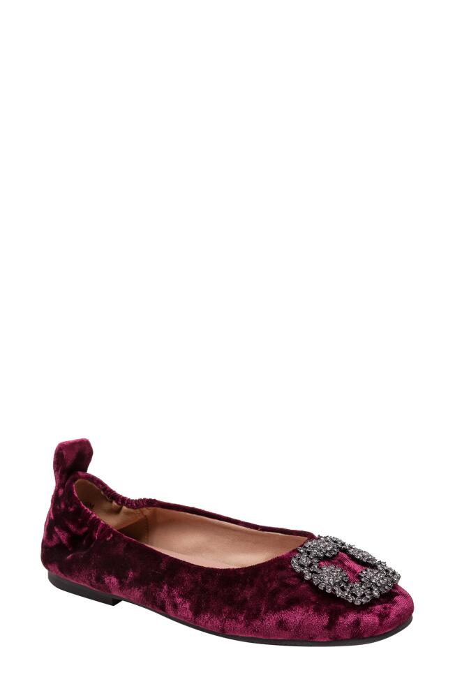 Linea Paolo Minax Embellished Ballet Flat in Burgundy Cover