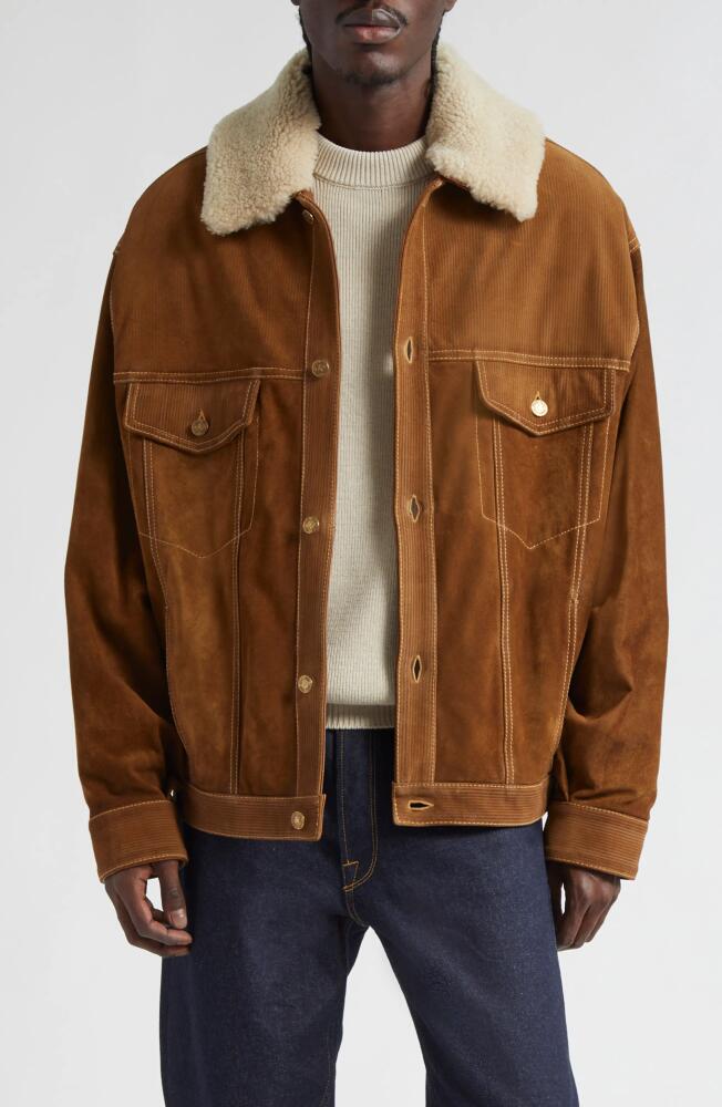 Golden Goose Journey Suede Trucker Jacket with Removable Faux Shearling Collar in Tobacco Brown Cover