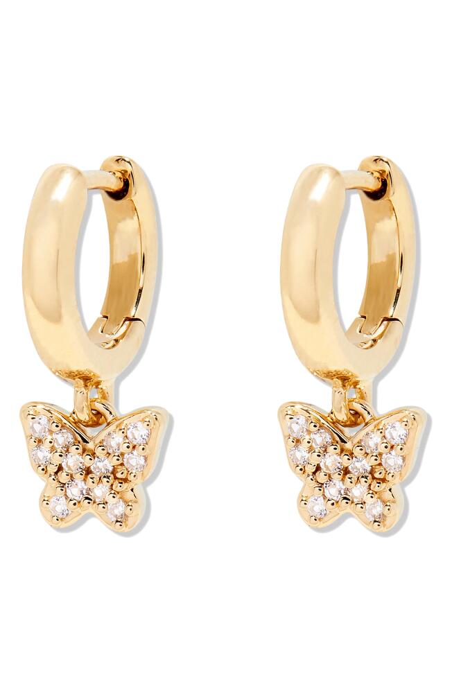 Brook and York Adeline Butterfly Drop Huggie Hoop Earrings in Gold Cover