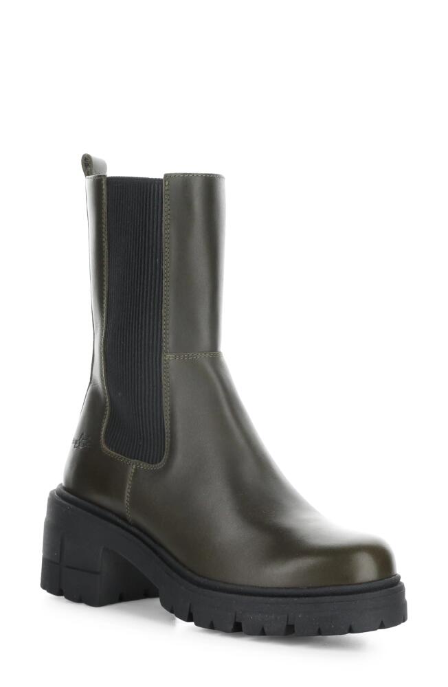 Bos. & Co. Brunas Waterproof Chelsea Boot in Olive/Black Feel/Elastic Cover