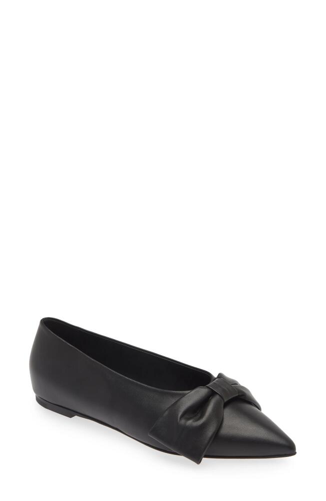 Dear Frances Bow Pointed Toe Flat in Black Cover