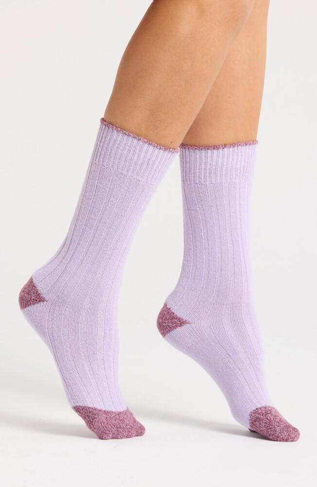 Nordstrom Wide Rib Boot Socks in Purple Petal Cover