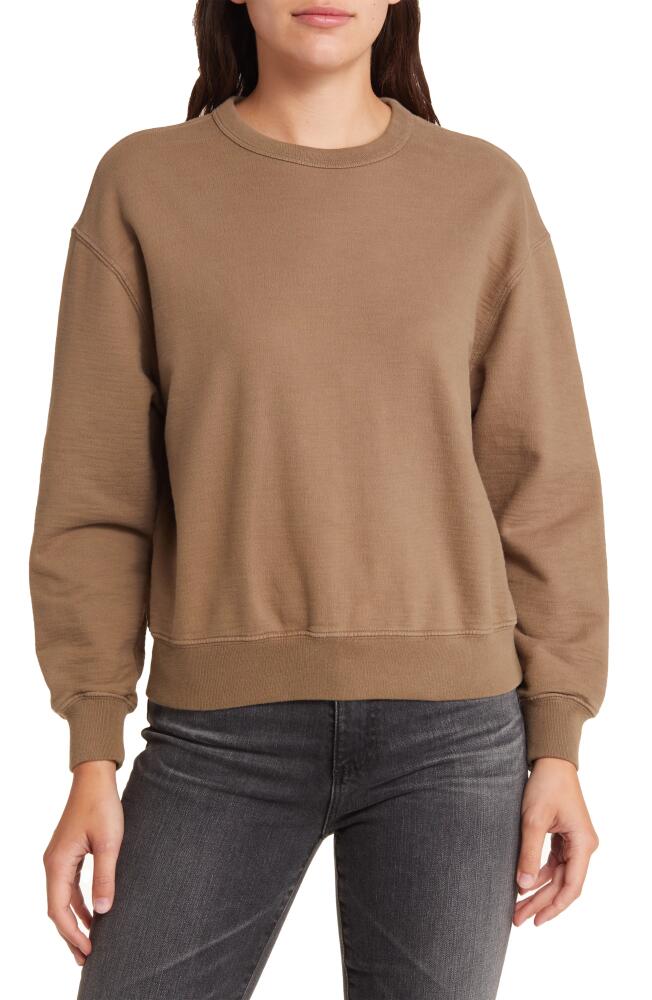 AG Nova Cotton Sweatshirt in Wild Mushroom Cover