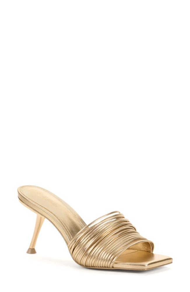 Cult Gaia Giana Slide Sandal in Champagne Cover