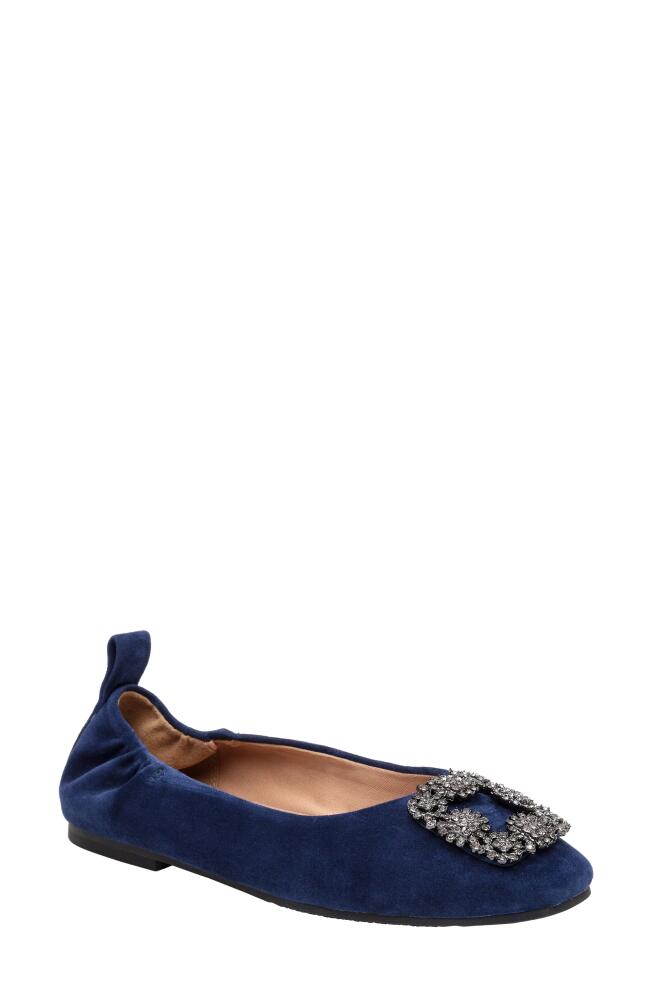 Linea Paolo Minax Embellished Ballet Flat in Navy Cover