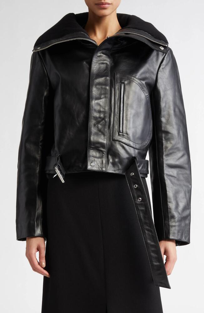 Victoria Beckham Crop Belted Leather Biker Jacket in Black Cover