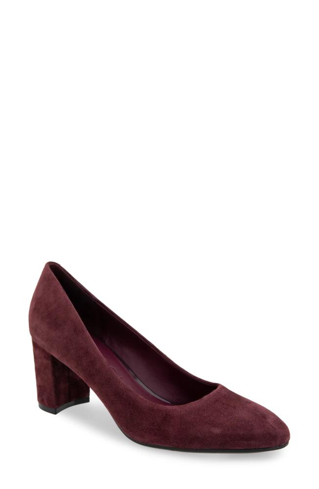 Aerosoles Betsy Pump in Deep Aubergine Suede Cover