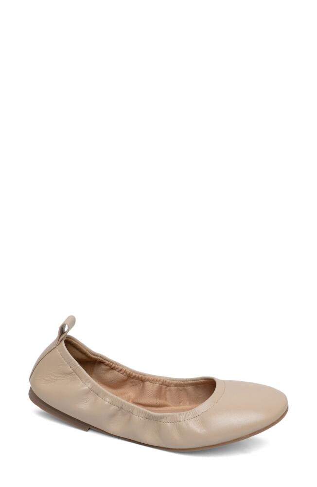 Linea Paolo Monte Ballet Flat in Nude Cover