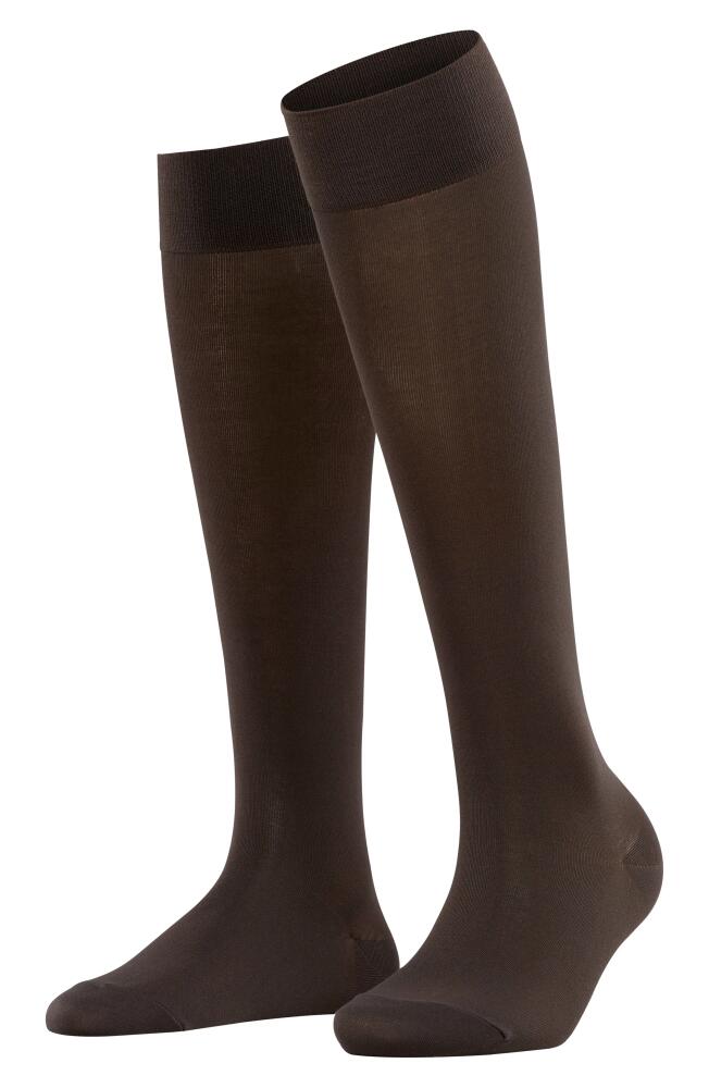 Falke Cotton Touch Knee High Socks in Dark Brown Cover