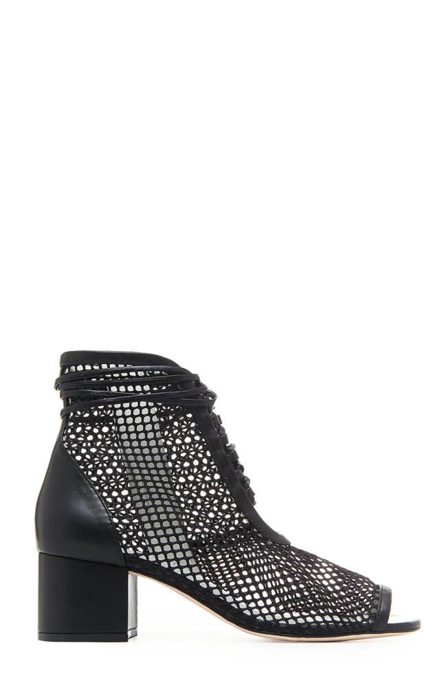 Daniella Shevel Nola Bootie in Black Cover