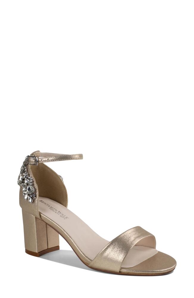 Touch Ups Olivia Ankle Strap Sandal in Champagne Cover