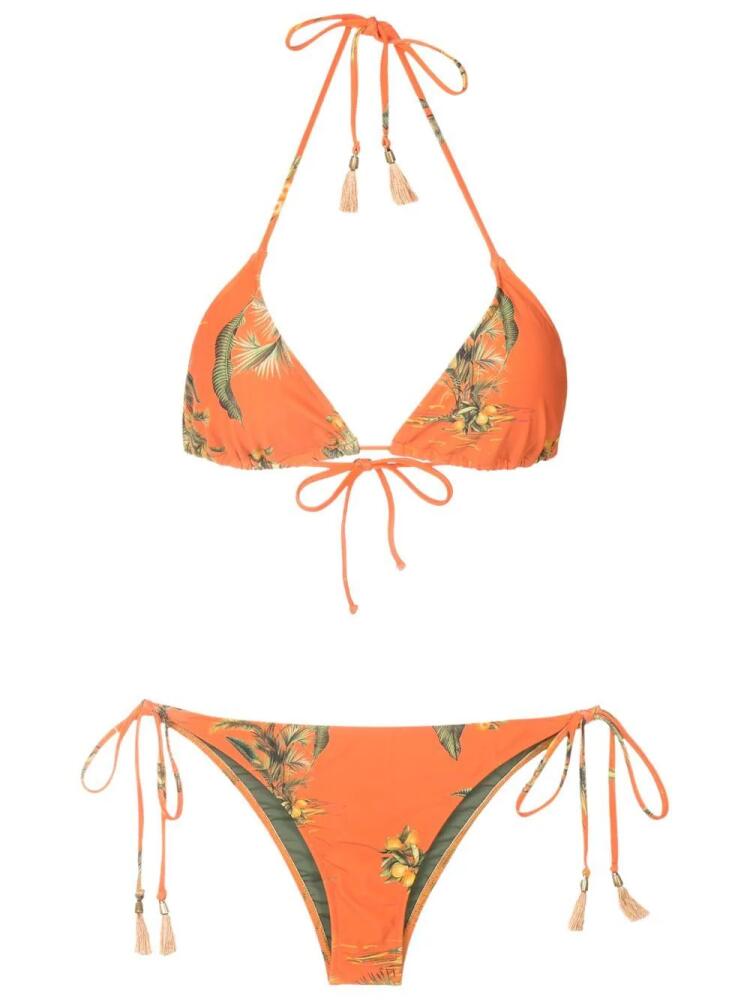 Lygia & Nanny Maya floral-print bikini top - Orange Cover