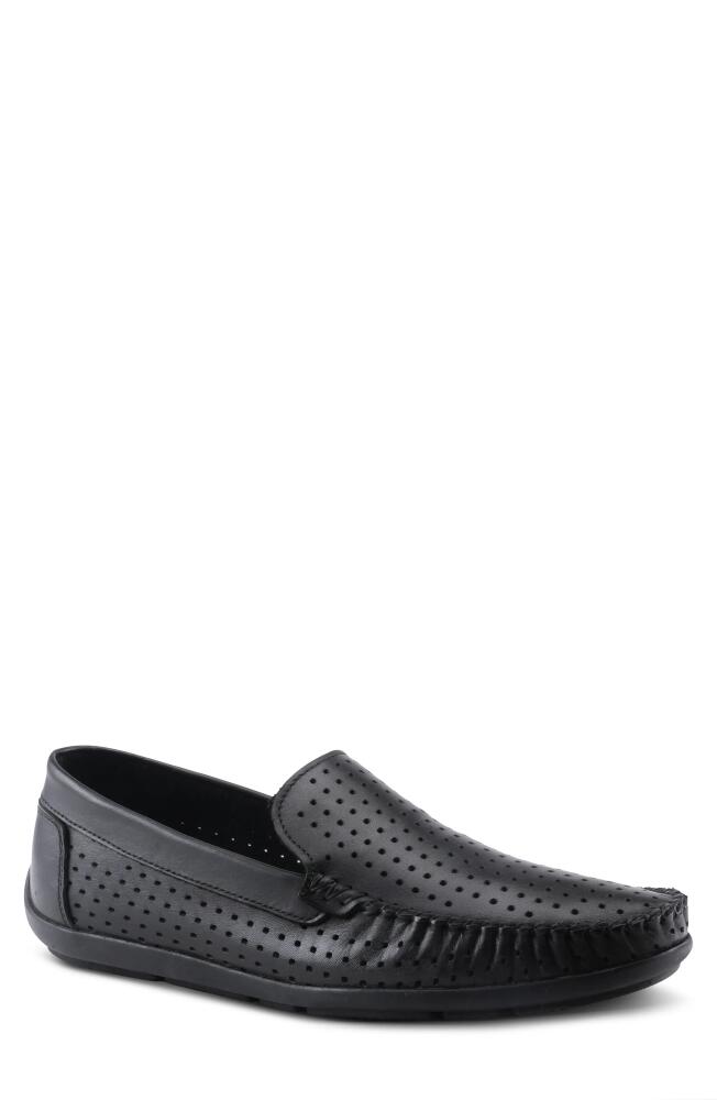 Spring Step Crispin Leather Loafer in Black Cover