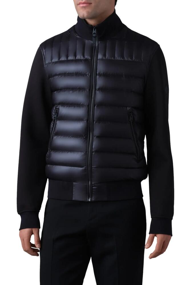 Mackage Collin-R Quilted Down Puffer Jacket in Black Cover