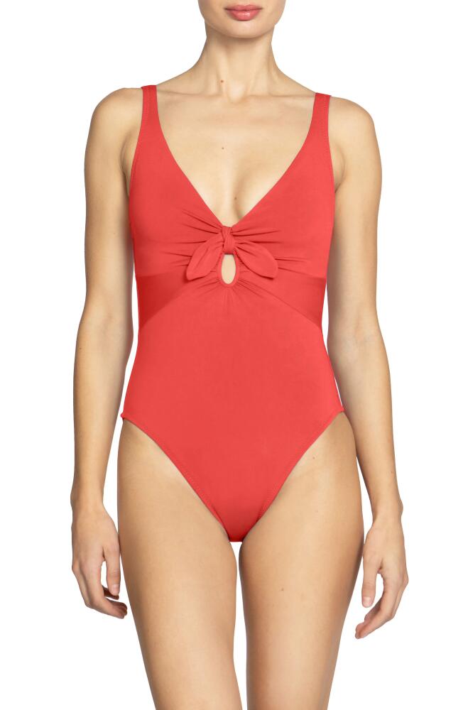 Robin Piccone Ava Plunge Underwire One-Piece Swimsuit in Guava Cover