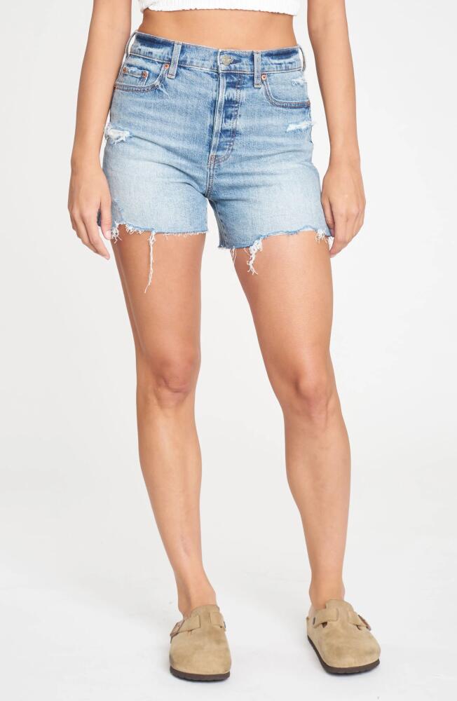 DAZE Bottom Line Ripped High Waist Denim Cutoff Shorts in Time Out Vintage Cover