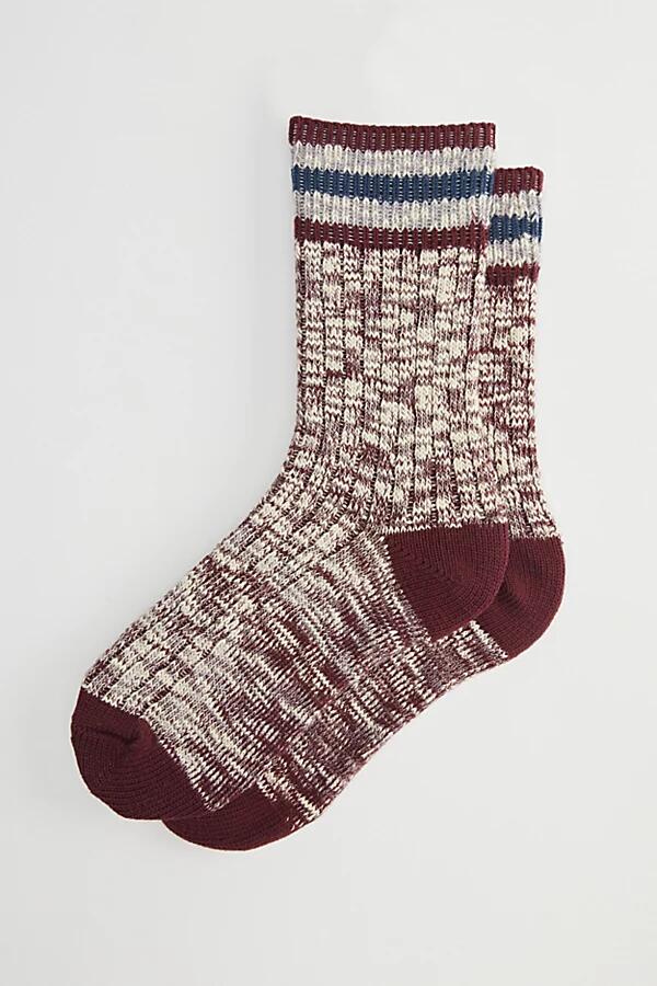 Marled Stripe Crew Sock in Purple Cover