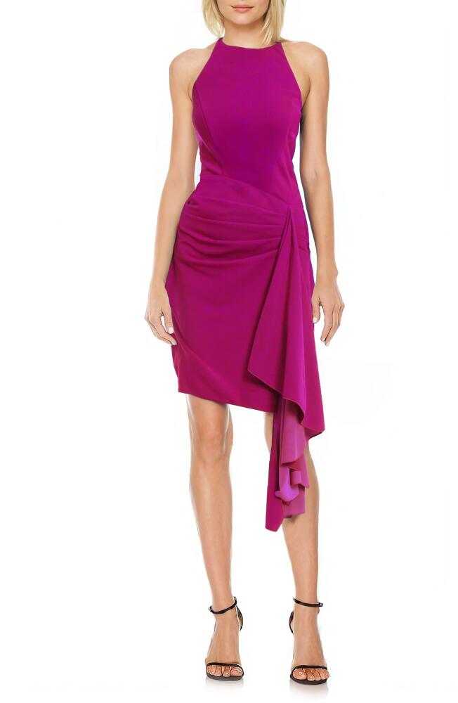 Jewel Badgley Mischka Drape Detail Halter Neck Cocktail Dress in Magenta Cover