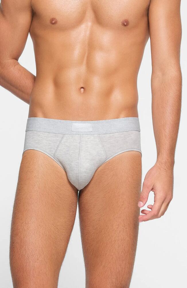 SKIMS Cotton & Modal Blend Briefs in Light Heather Grey Cover