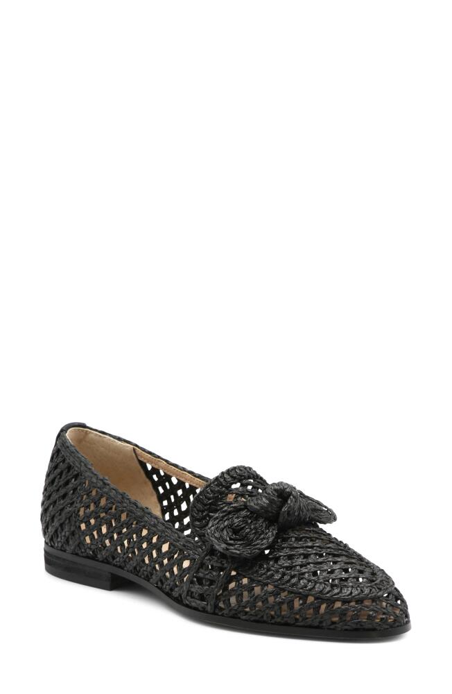 Charles David Finite Water Resistant Raffia Loafer in Black Cover