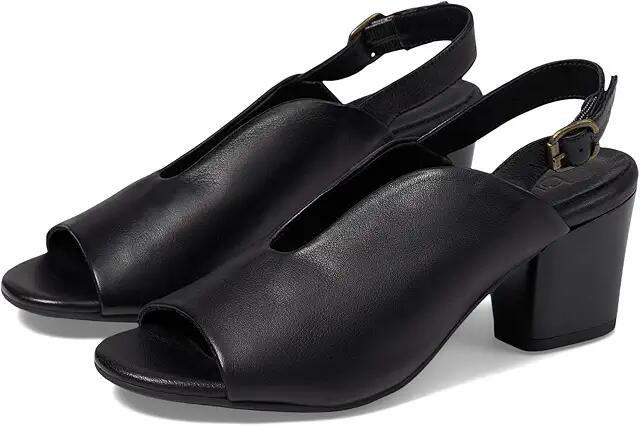 Bueno Clare (Black) Women's Shoes Cover