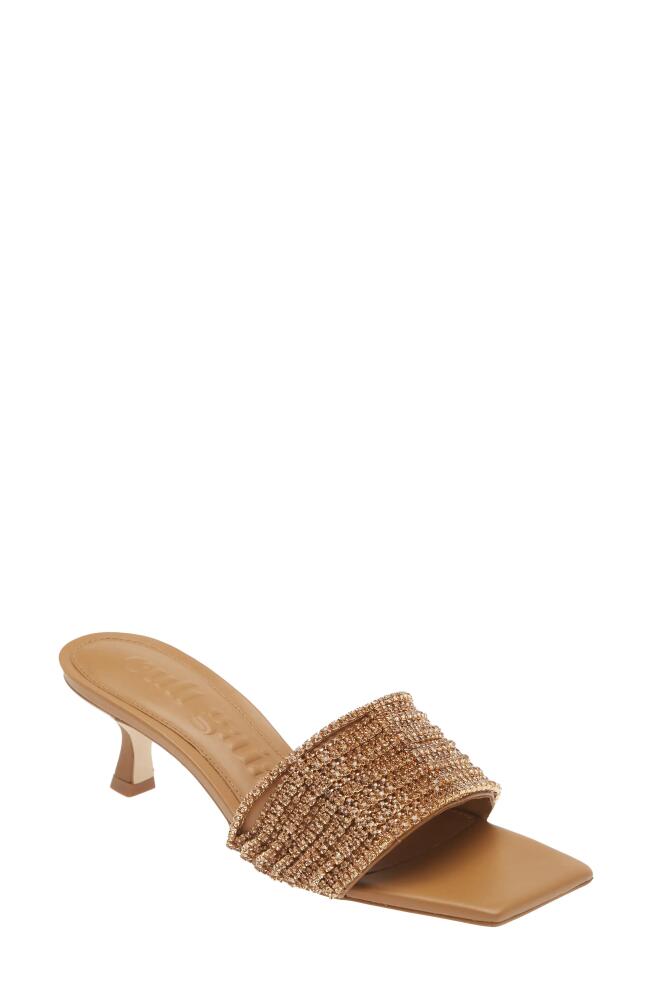 Cult Gaia Clio Slide Sandal in Champagne Cover