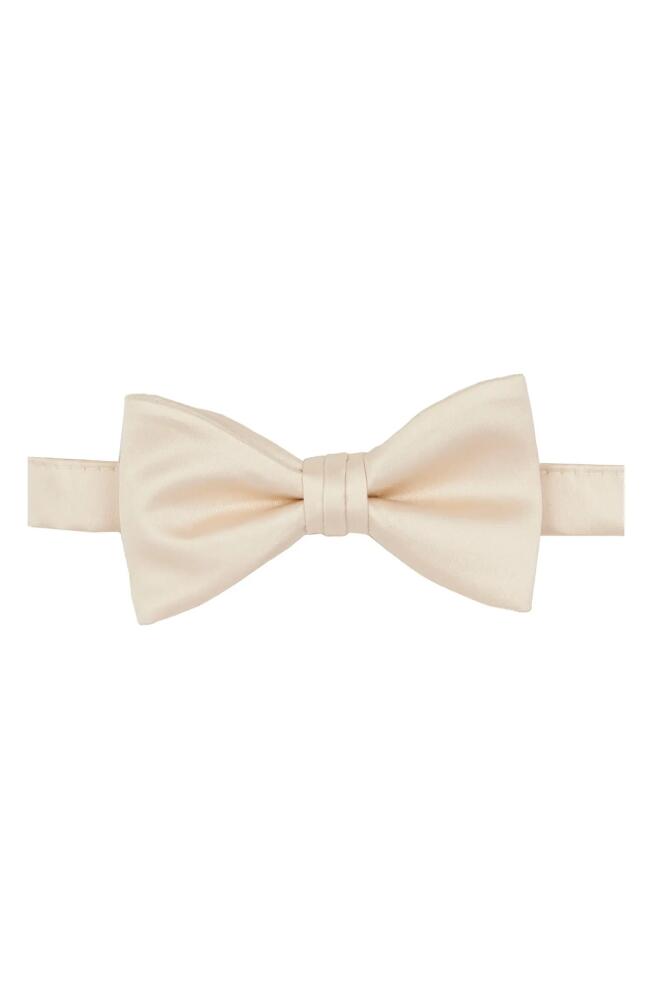 Brooklyn Brigade Solid Satin Pre-Tied Bow Tie in Champagne Cover