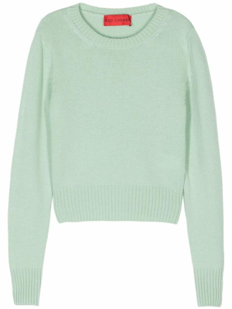 Wild Cashmere Simona sweater - Green Cover