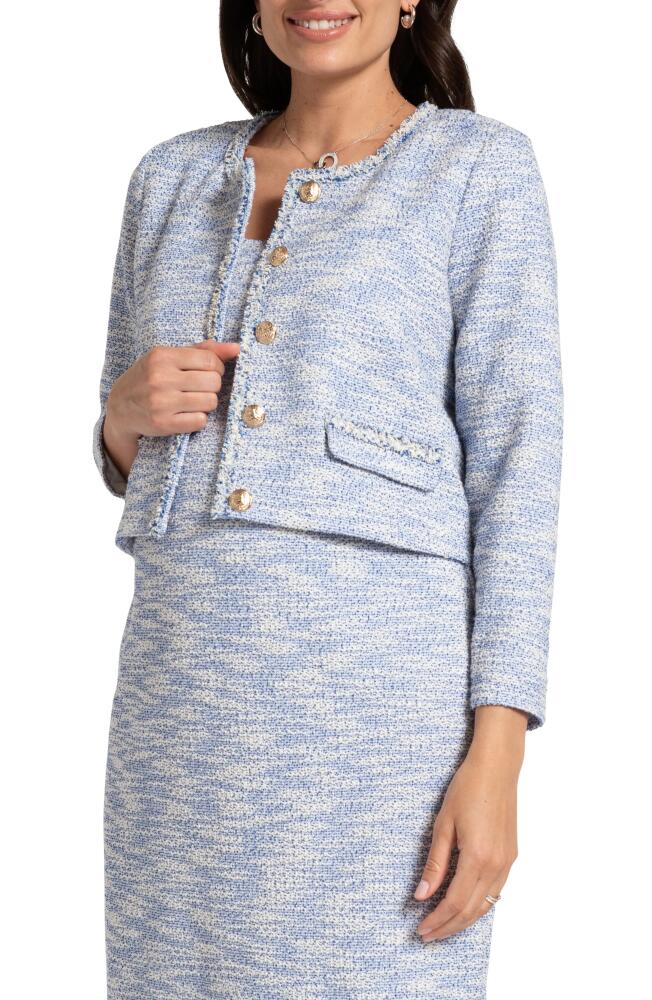 Seraphine Crop Tweed Maternity Blazer in Blue Cover