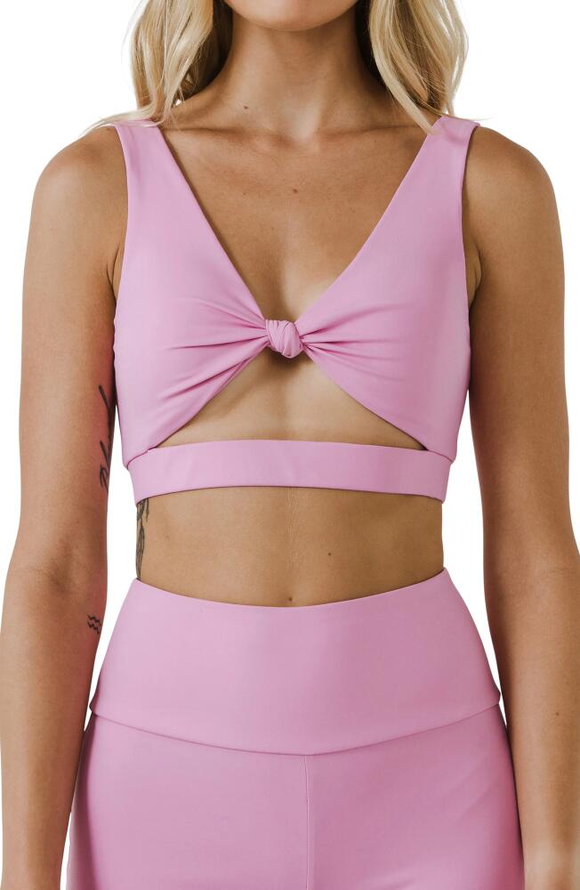 Grey Lab Knotted Cutout Crop Tank in Pink Cover