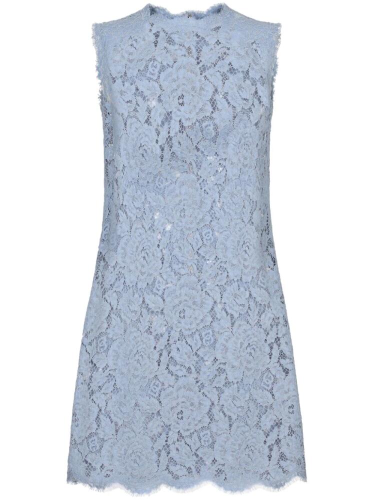 Dolce & Gabbana floral-lace shift mini dress - Blue Cover