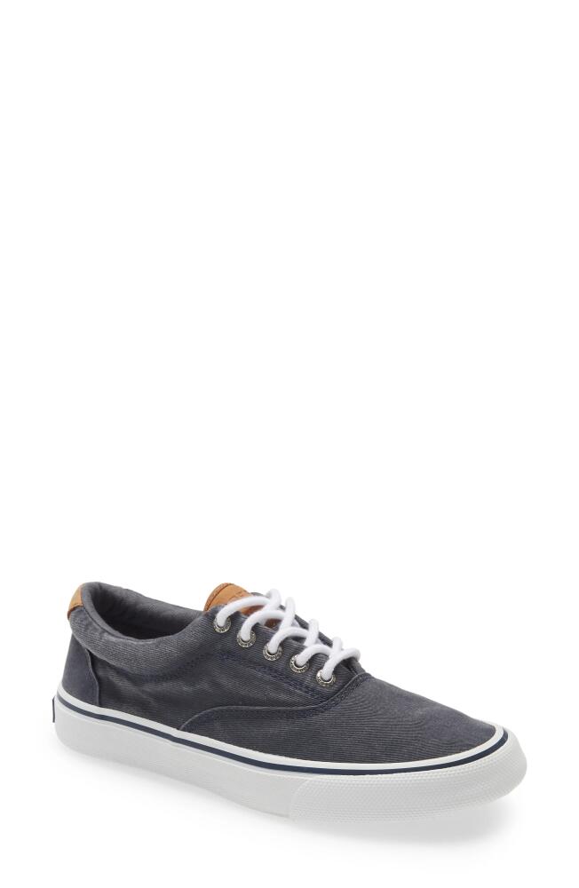 Sperry Striper II CVO Core Sneaker in Navy Cover