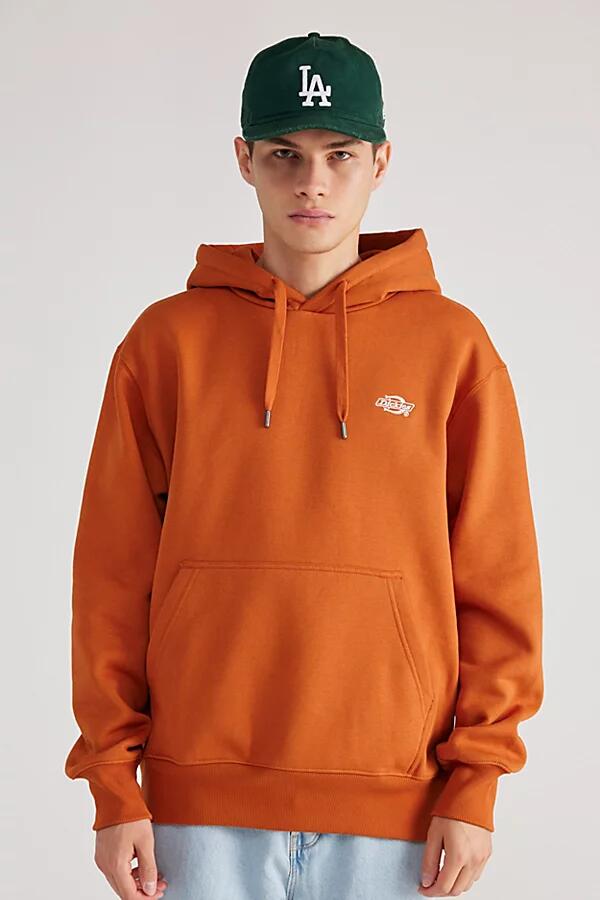 Dickies Summerdale Logo Hoodie Sweatshirt in Bronze Cover