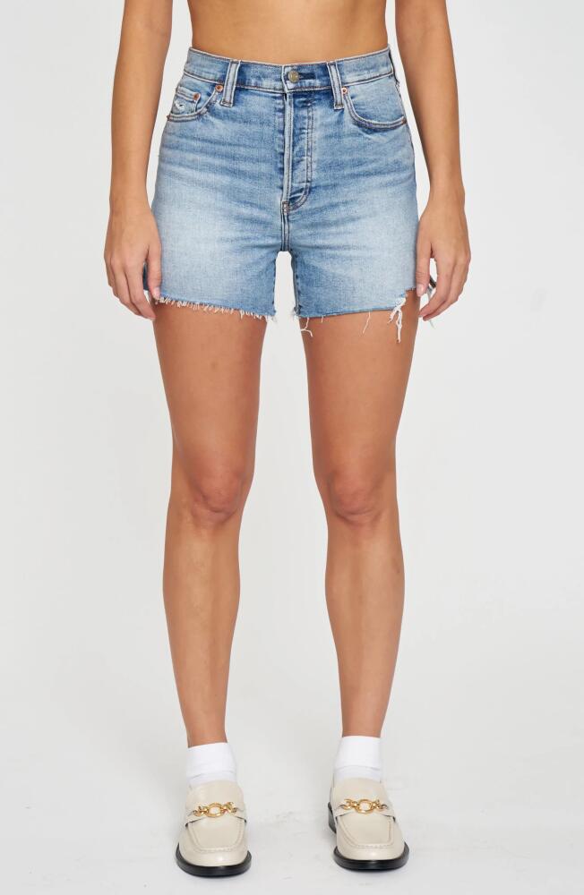 DAZE Bottom Line Distressed Cutoff Denim Shorts in Dancefloor Cover