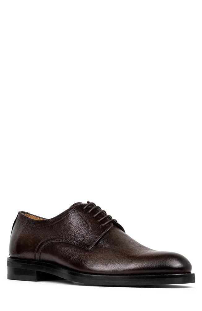 Donald Pliner Russell Derby in Dark Brown Cover