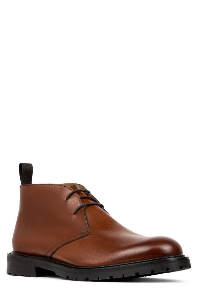 Donald Pliner Colton Lug Sole Chukka Boot in Cognac Cover