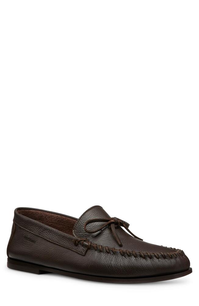 Stuart Weitzman Montauk Tie Moc Toe Loafer in Dark Brown Cover