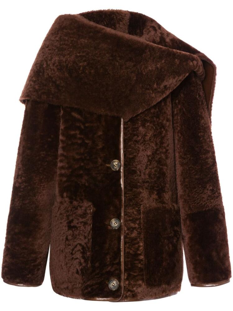 Alberta Ferretti sheepskin long coat - Brown Cover