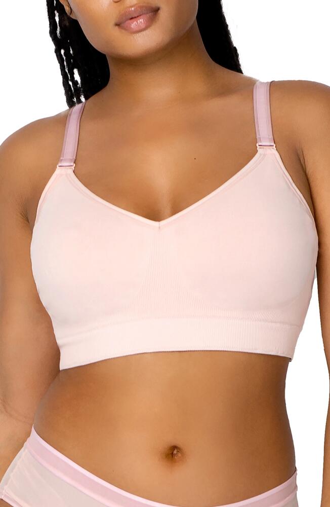 Curvy Couture Smooth Seamless Comfort Bralette in Blushing Rose Cover