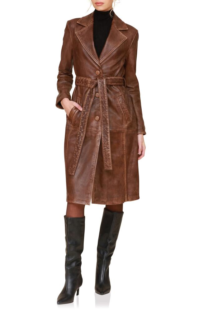 Avec Les Filles Belted Leather Trench Coat in Vintage Brown Cover