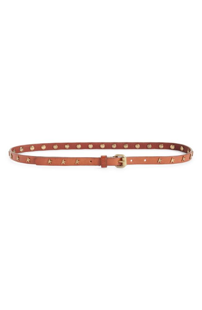 Golden Goose Molly Star Stud Leather Belt in Cuoio Cover