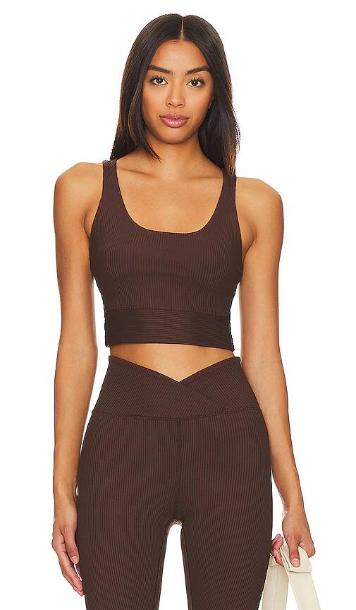 YEAR OF OURS Ribbed Gym Bra in Brown Cover