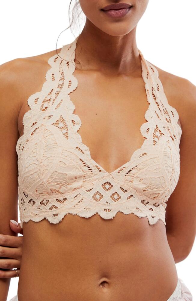 Free People Adella Lace Halter Bralette in Almond Cream Cover