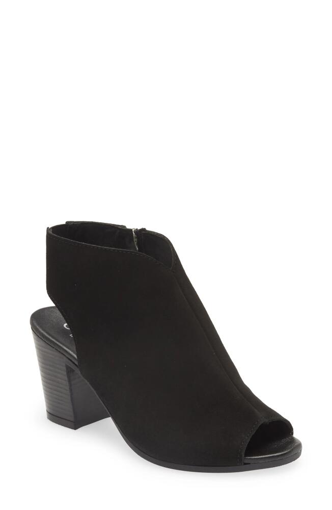 Cordani Genesis Peep Toe Bootie in Black Suede Cover