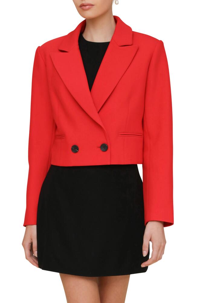 Avec Les Filles Boxy Crop Blazer in Red Cover