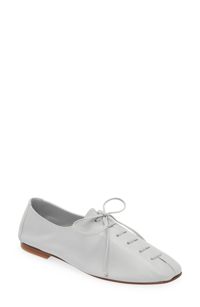 HEREU Plegada Lace-Up Shoe in Fog Grey Cover