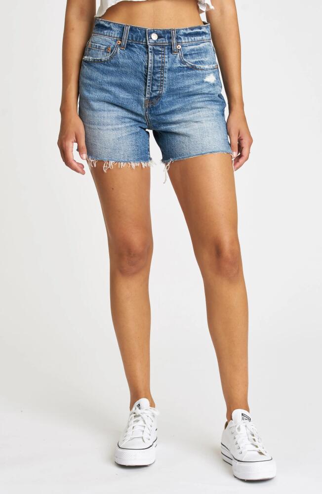 DAZE Bottom Line Distressed High Waist Denim Cutoff Shorts in Tru Cover