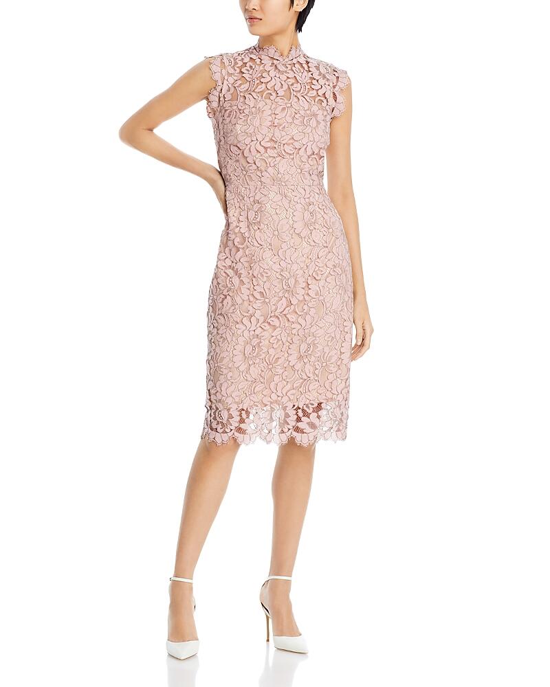 Eliza J Lace Sheath Dress Cover