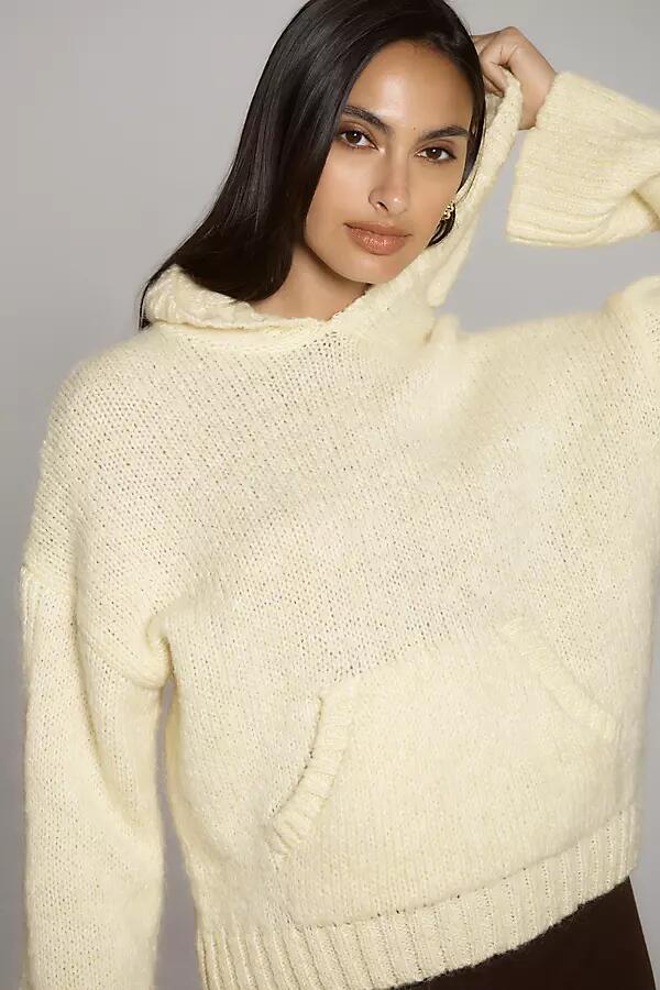 Pilcro Hooded Sweater Cover